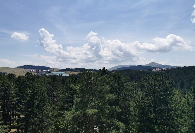 اتاق لوکس با تراس, Palisad