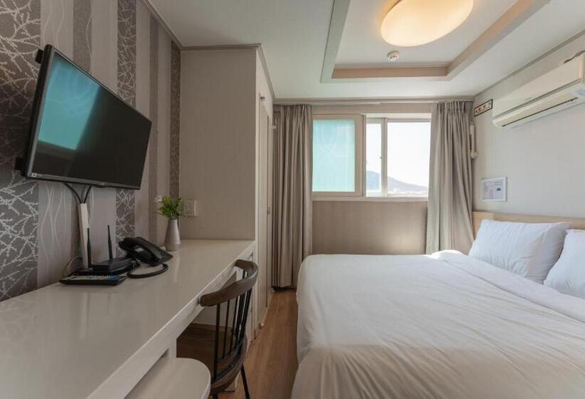 Camera Standard, Staywell