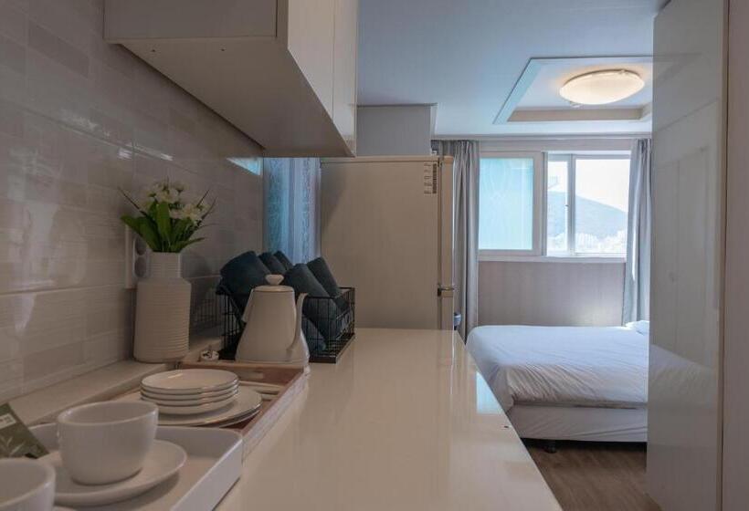 Camera Standard, Staywell