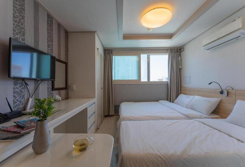 Camera Deluxe, Staywell