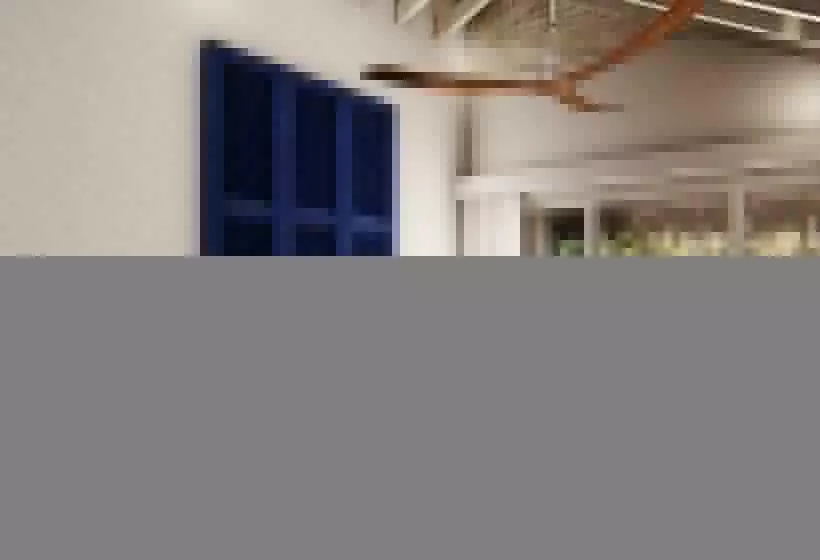 اتاق استاندارد با تخت بزرگ برای معلولان, Viva V Samana by Wyndham