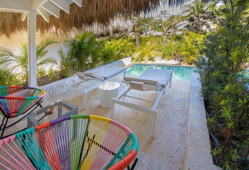 بانگلوی استاندارد, Viva V Samana By Wyndham, A Trademark Adults All Inclusive