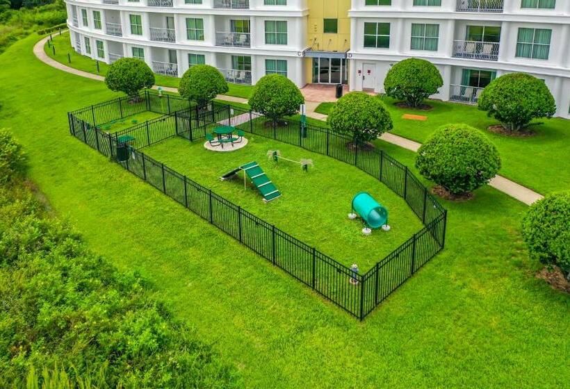 침실 1개 풀장 전망 아파트, Pet Friendly In Orlando Area Near Disney And Espn Center