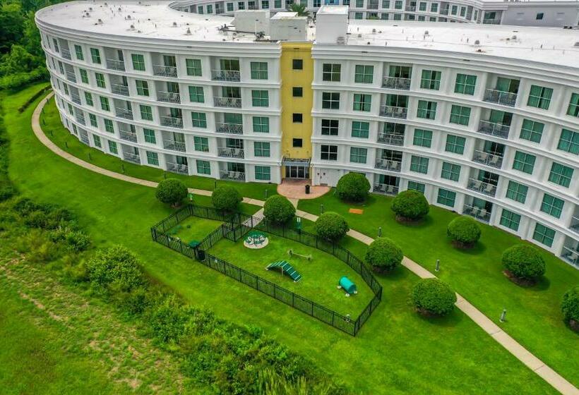 プールの見える1ベッドルームアパートメント, Pet Friendly In Orlando Area Near Disney And Espn Center