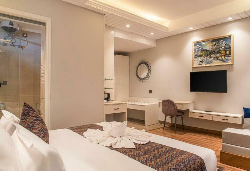 스탠다드 룸, Anantvilas Shimla Hills