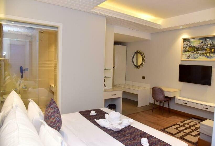 غرفة قياسية, Anantvilas Shimla Hills