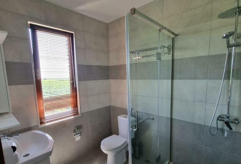 اتاق استاندارد با چشمانداز کوهستان, Château Davitiani