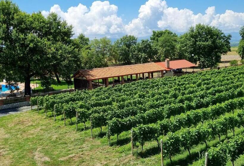 اتاق استاندارد با چشمانداز, Château Davitiani