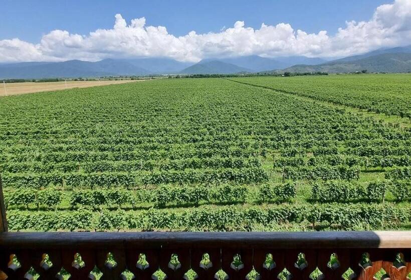 اتاق خانوادگی با چشمانداز کوه, Château Davitiani