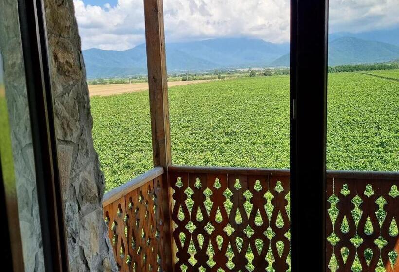 اتاق خانوادگی با چشمانداز کوه, Château Davitiani