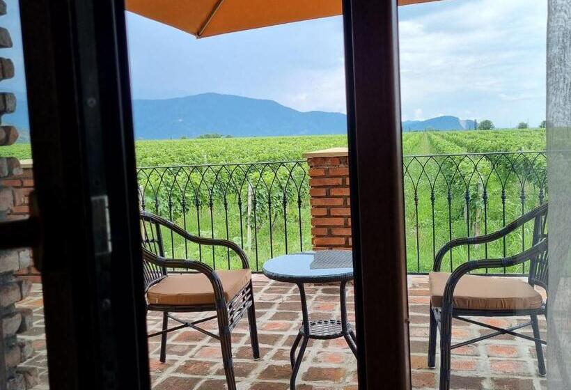 اتاق استاندارد با تراس, Château Davitiani