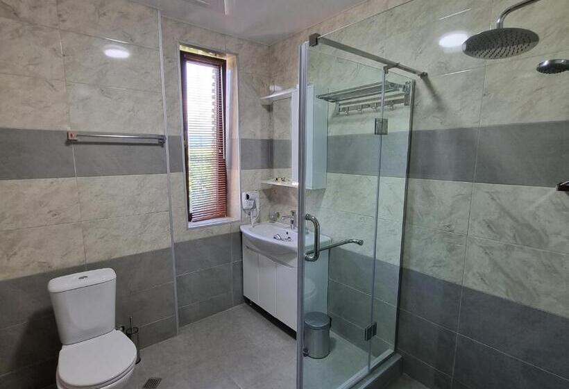 اتاق خانوادگی, Château Davitiani