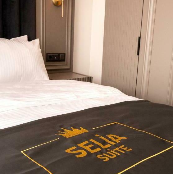 شقة غرفة واحدة مطلة على البحر, Selia Sui̇tes