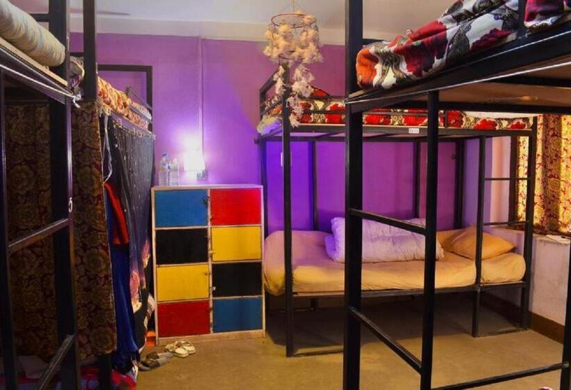 تختخواب در اتاق مشترک, Happy Donkey Hostel