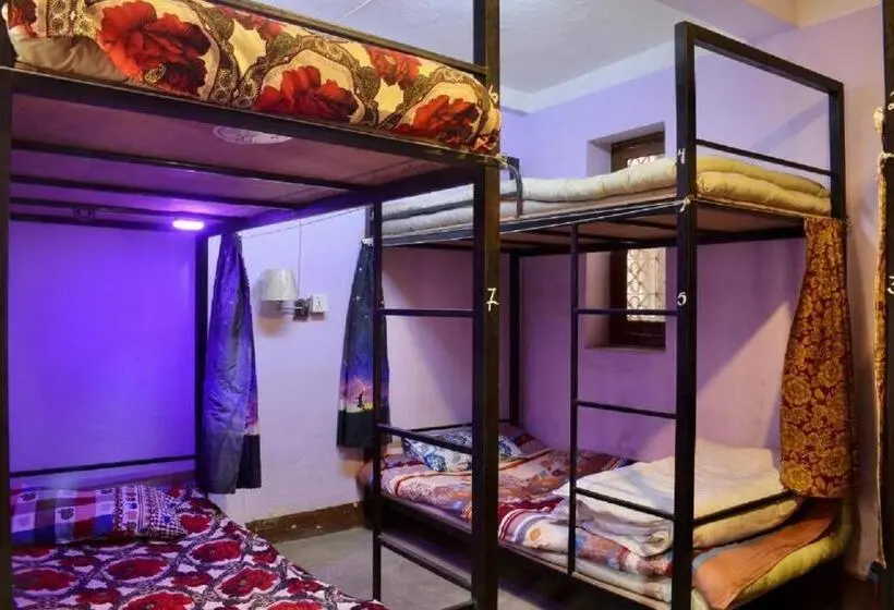تختخواب در اتاق مشترک, Happy Donkey Hostel