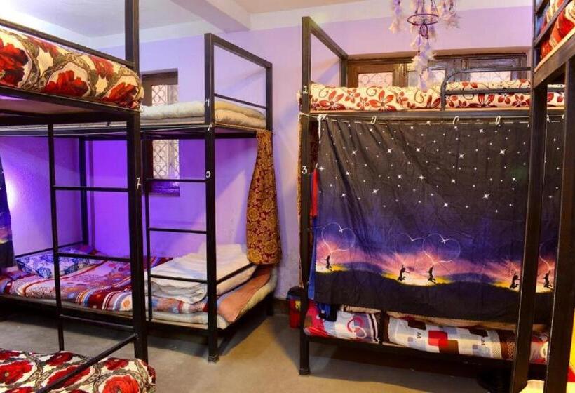 تختخواب در اتاق مشترک, Happy Donkey Hostel