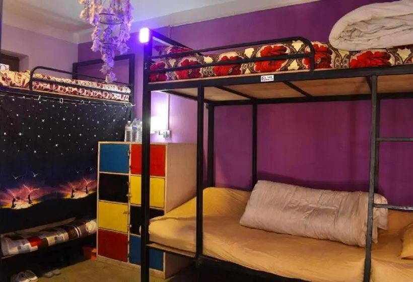 تختخواب در اتاق مشترک, Happy Donkey Hostel