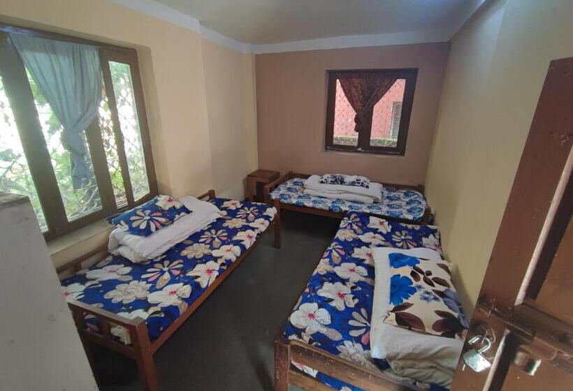 اتاق اکونومی, Happy Donkey Hostel