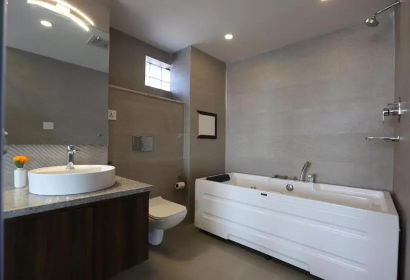 سوییت با چشم‌انداز کوه, Apex Business Hotel   Airport