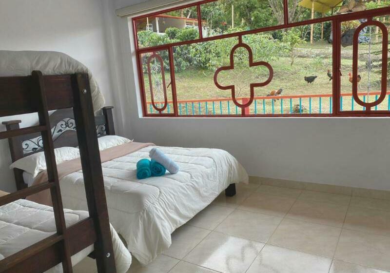 패밀리 룸, Cafetero Valparaíso