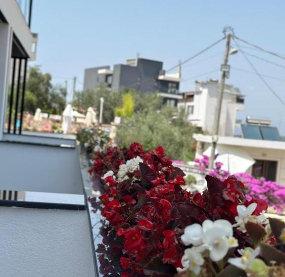 ファミリールーム, Memaj