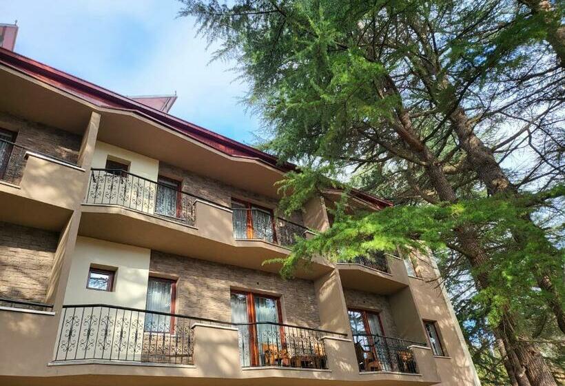 اتاق استاندارد با بالکن, Mayberry Lake   Villa Medijapark