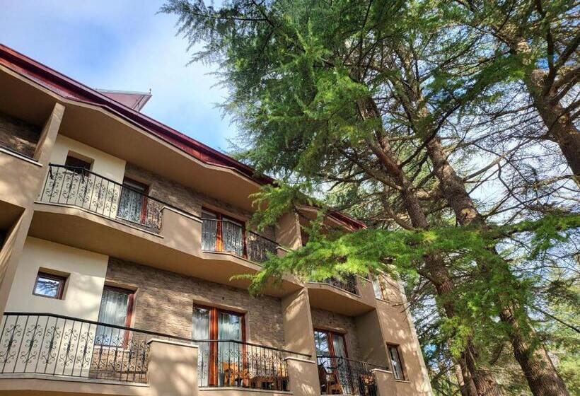 اتاق استاندارد سه تخته با بالکن, Mayberry Lake   Villa Medijapark