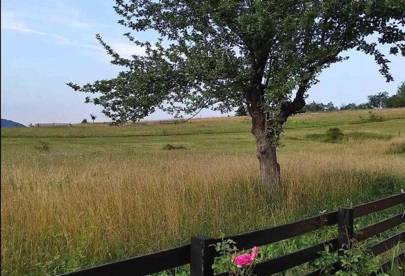 سوییت خانوادگی, Kremanski čardak