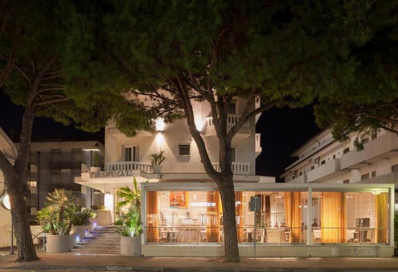 اتاق استاندارد با چشم‌انداز, Tropical