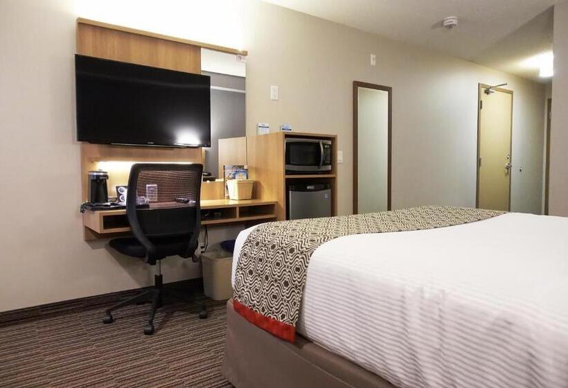 身障者適用スタンダードルーム, Microtel Casselman