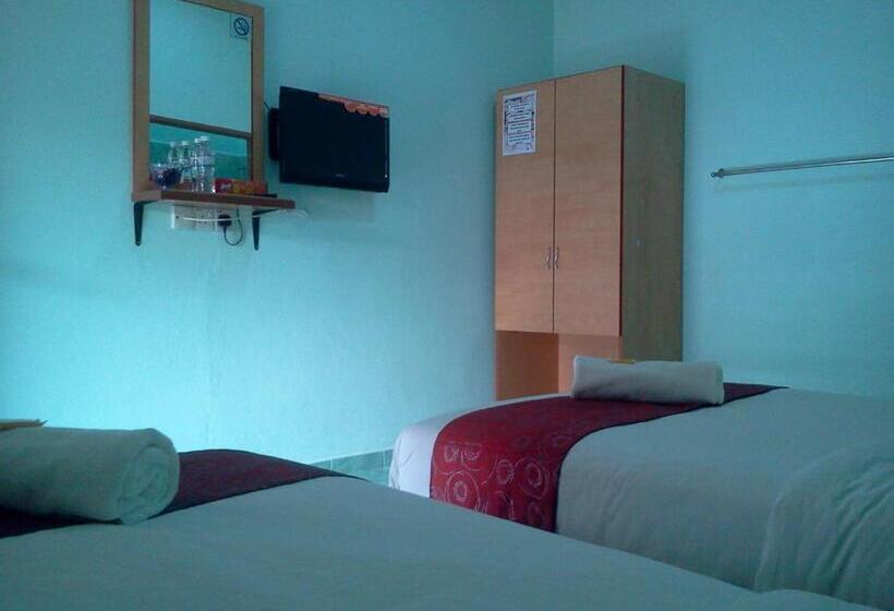 חדר סטנדרט, Rose Inn Motel