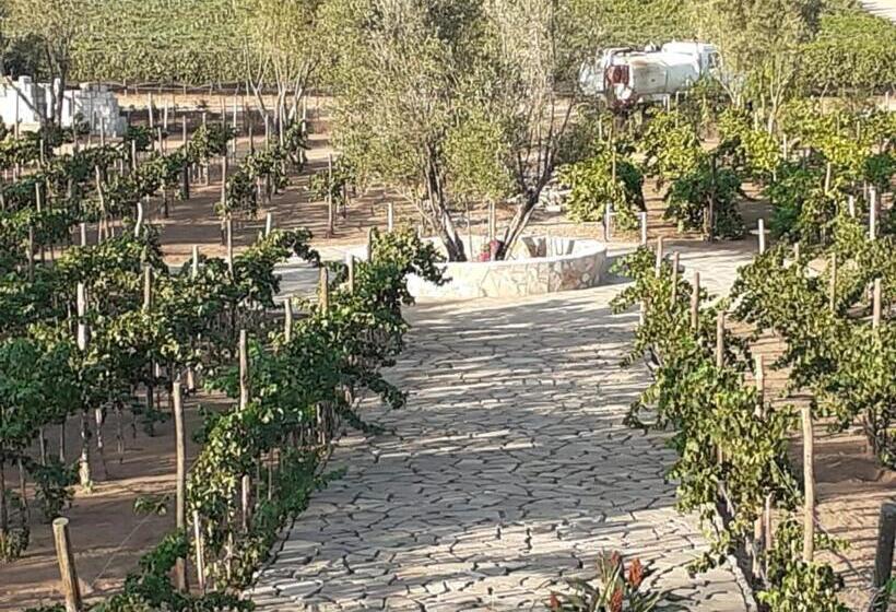 غرفة قياسية مزوَّدة بشُرفة, Villa Quinta Estrella