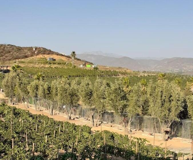 غرفة قياسية مزوَّدة بشُرفة, Villa Quinta Estrella