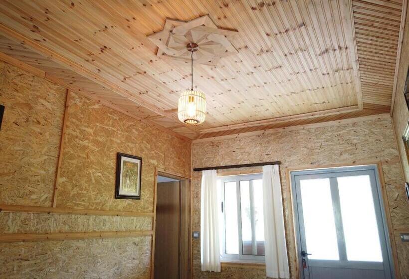 Семейный Номер, Bujtina Vjosa