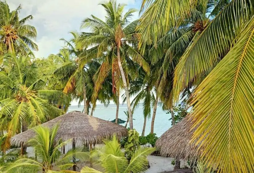 اتاق لوکس, Island Life Maldives Retreat & Spa