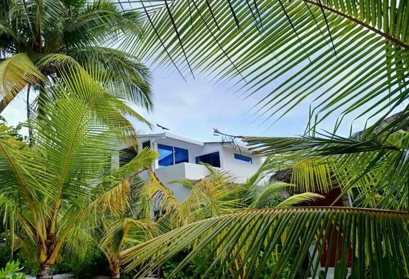 اتاق خانوادگی با چشم‌انداز دریا, Island Life Maldives Retreat & Spa
