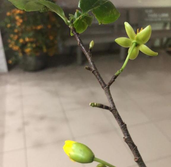 اتاق استاندارد با تخت بزرگ, Anhkhoa Hotel Mỹ Phước