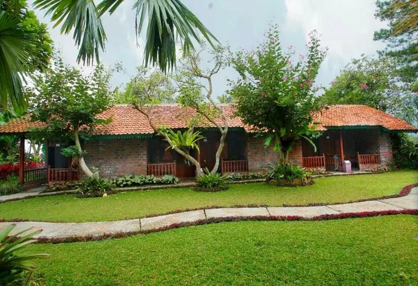 Quarto Estandar, Katumbiri Resort