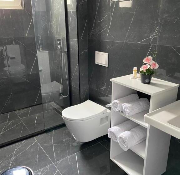 Четырехместный Номер Стандарт с Балконом, Viroi