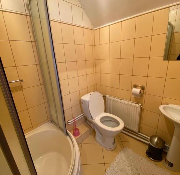 اتاق استاندارد, Buru Guru Viesu Nams Zīdu Kolns