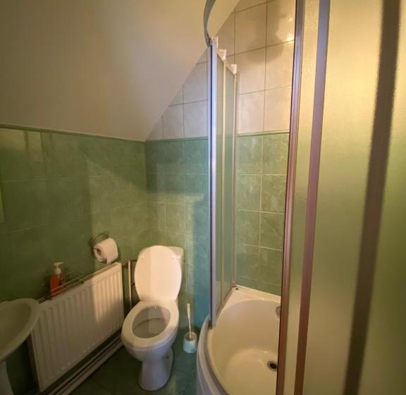 اتاق استاندارد با تخت بزرگ, Buru Guru Viesu Nams Zīdu Kolns