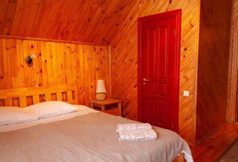 اتاق استاندارد با تخت بزرگ, Buru Guru Viesu Nams Zīdu Kolns