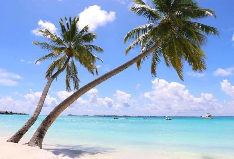 テラス付スイート, Alexmarie Guest House 5 Min To Candolim Beach