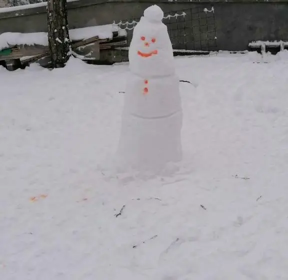 آپارتمان لوکس 1 خوابه, Tara Bozic Apartmani