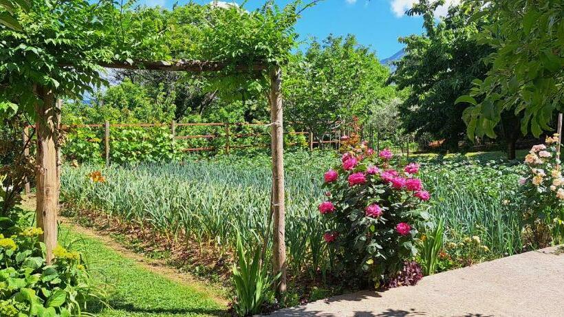 اتاق راحتی سه تخته, Old House Nilovic