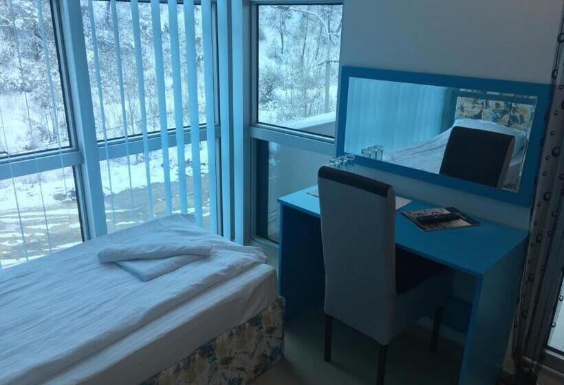 اتاق استاندارد, B&b Hisar International