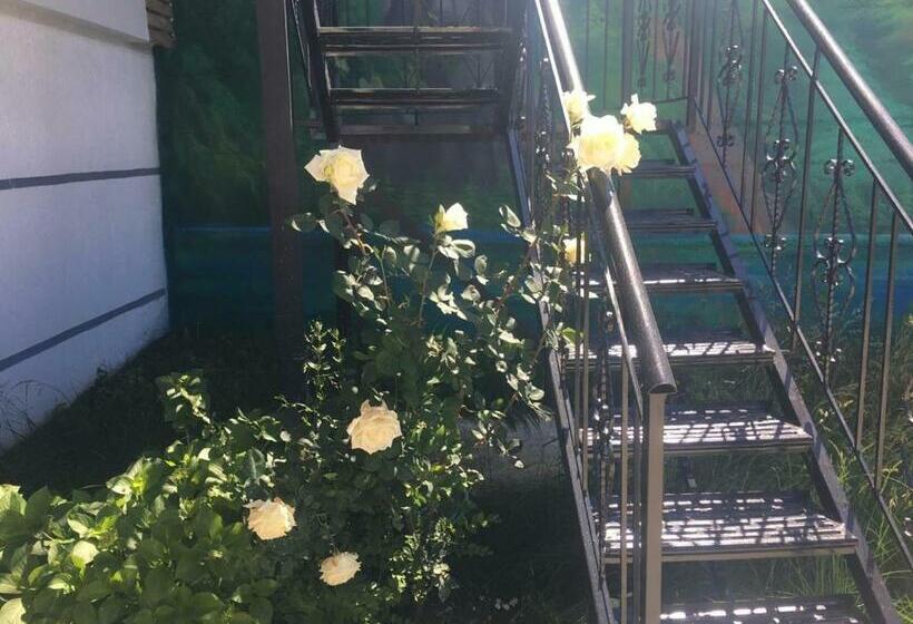اتاق استاندارد چهار تخته, Joni S House