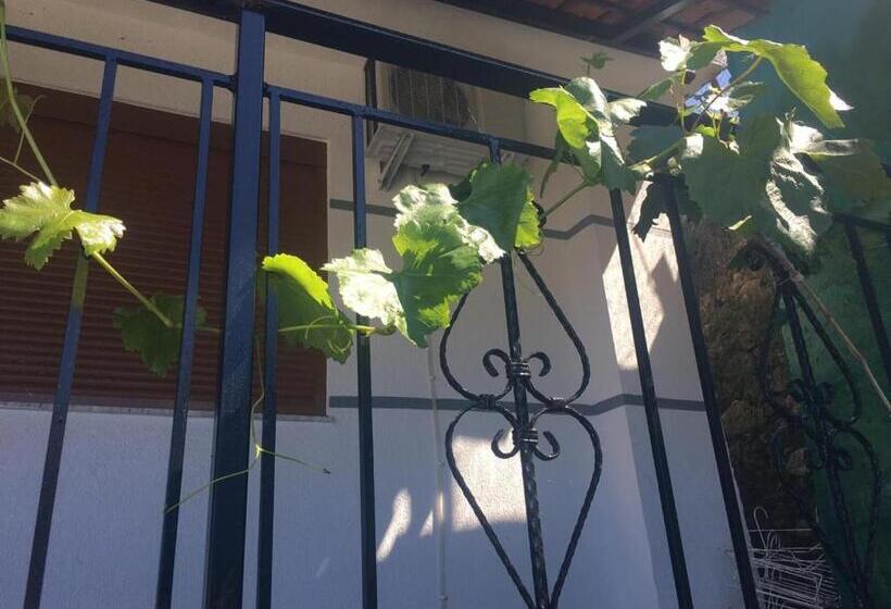 Семейное Студио, Joni S House