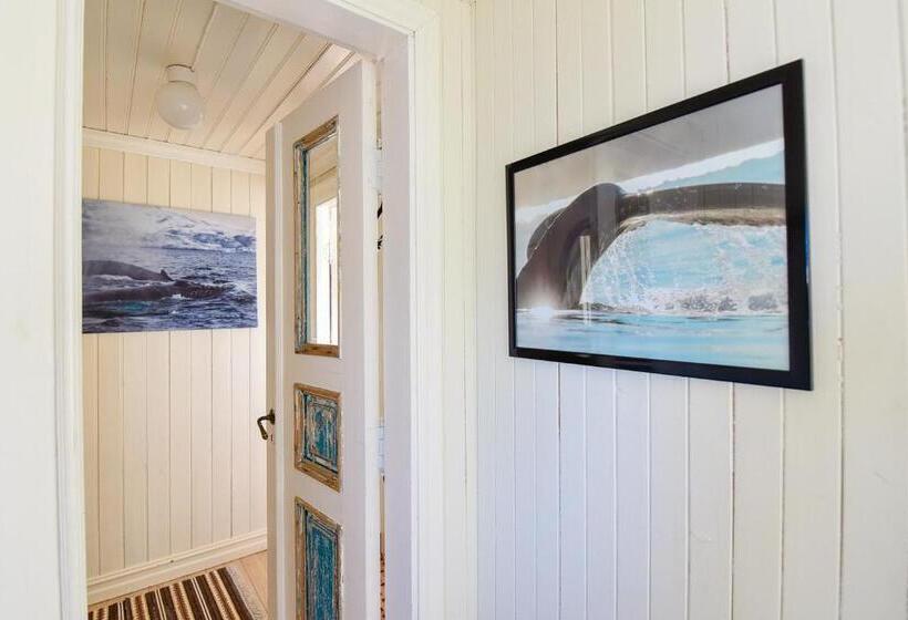 Студия Стандарт, Kongsfjord Arctic Lodge