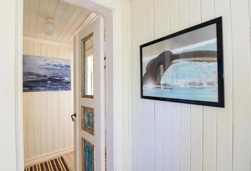 スタンダードスタジオ, Kongsfjord Arctic Lodge